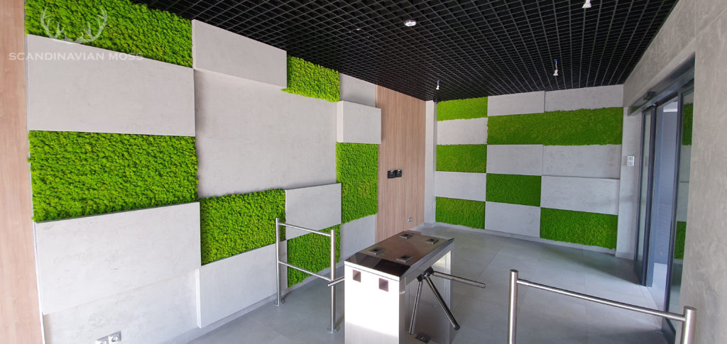 Geometric reindeer moss panels