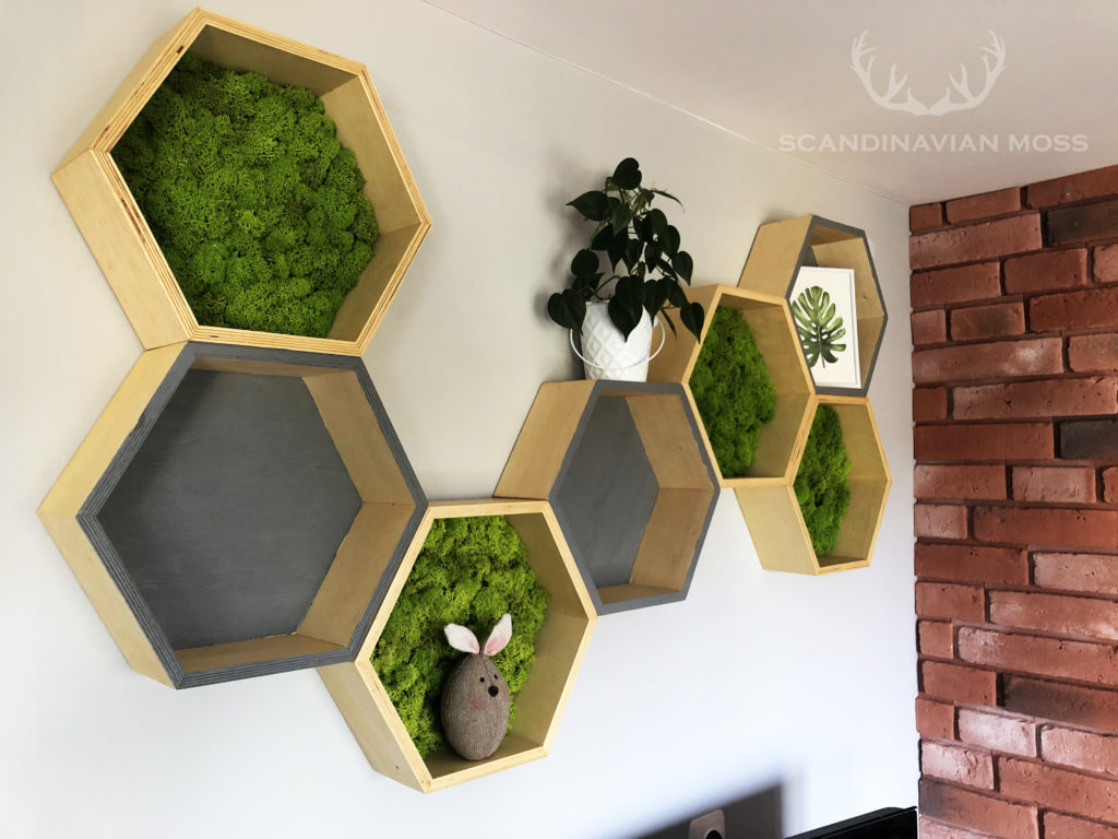 Reindeer moss hexagons decoration