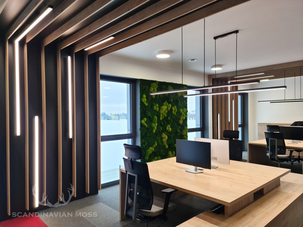 Greenwall in office - ball moss, flat moss, Provencal moss