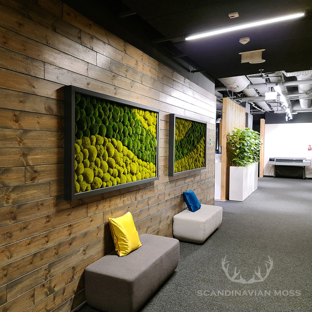 Pillow moss picutres in office hall