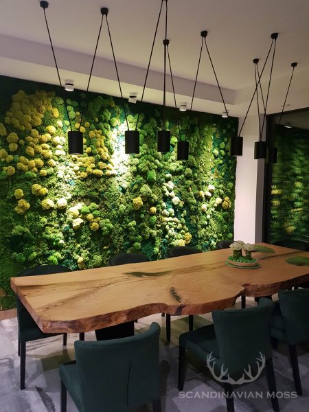 Mosswall in diningroom with pillow moss and flat moss