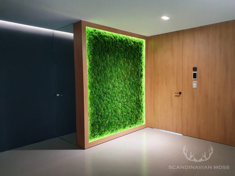 Ball moss wall with LEDs