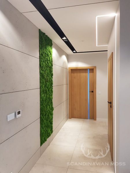 Pillow moss vertical panel in corridor