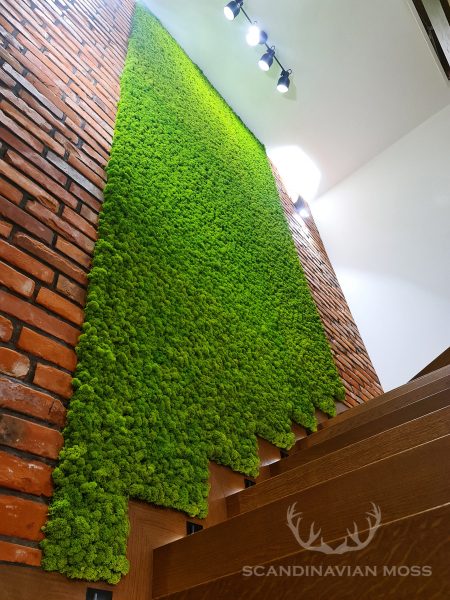 Reindeer moss brick wall on staircase